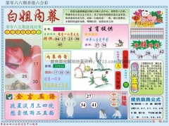 白小姐内幕A